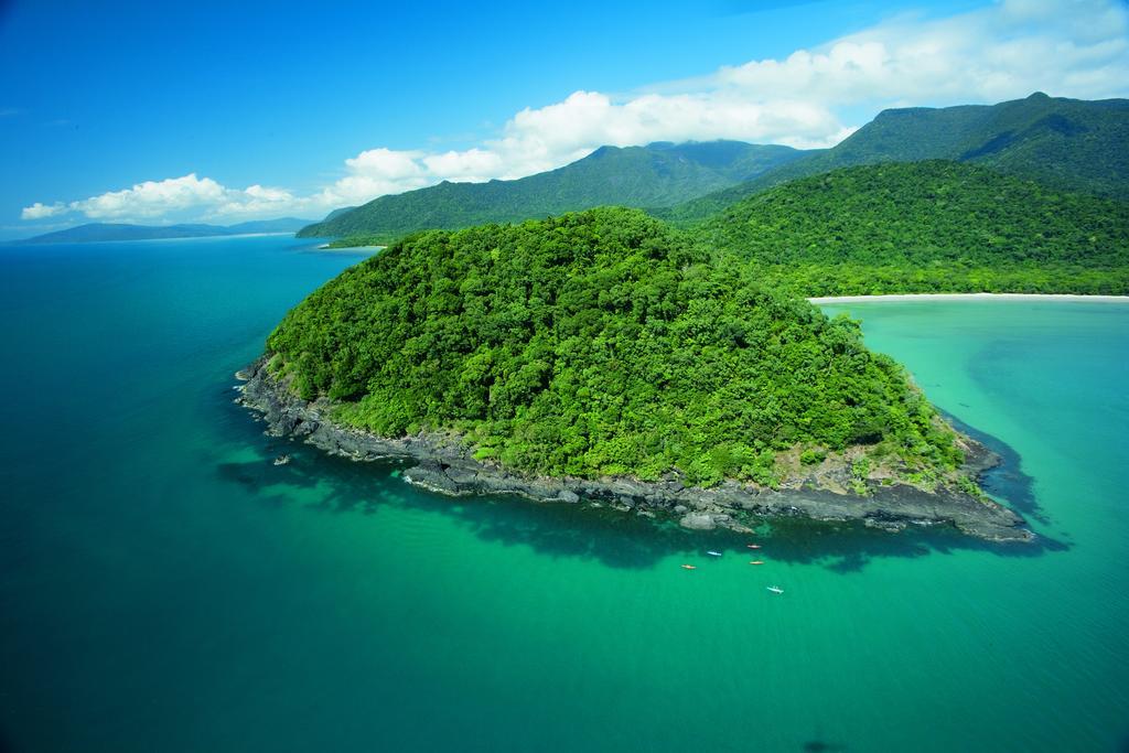 Black Palm Cape Tribulation Zewnętrze zdjęcie